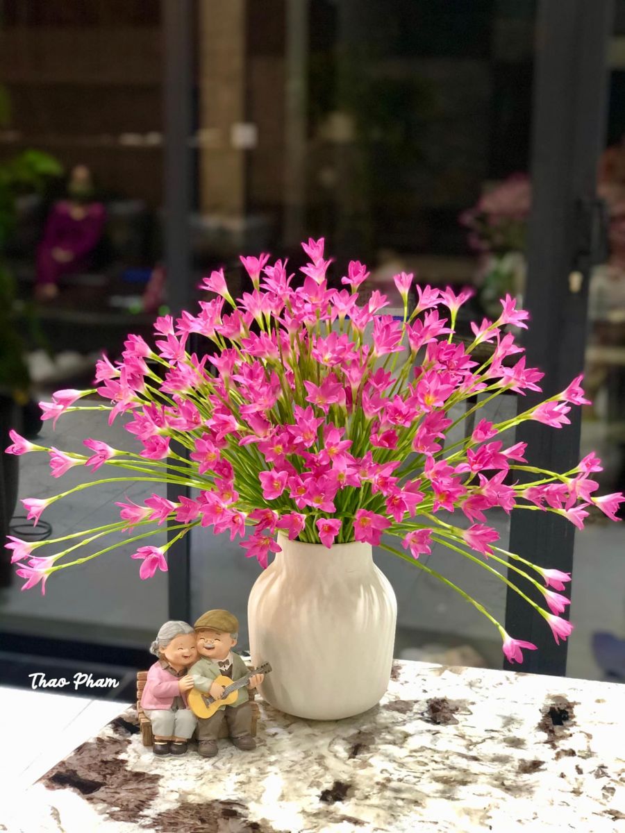 Tử vi ngày 3/9/2022 của 12 cung hoàng đạo